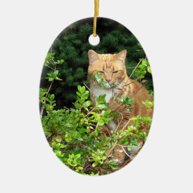 Lizzie, the cat, in the Front Yard Ceramic Ornament (Front)