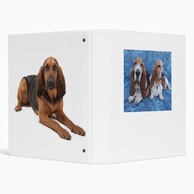 Lizzy Darcy Binder (Background)