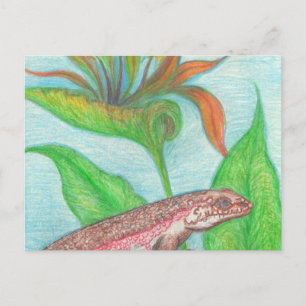Lizzzard Postcard