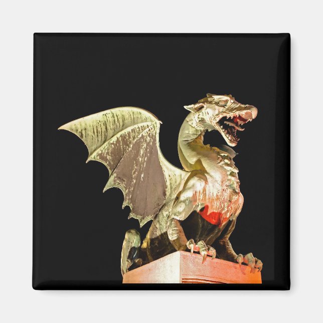 Ljubljana 01A Magnet (Front)