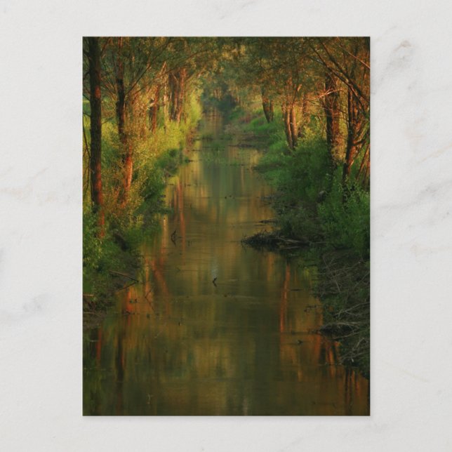 Ljubljana Moors Postcard (Front)