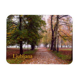 Ljubljana postcard magnet