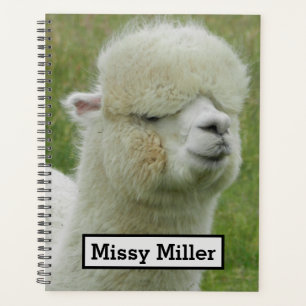 Llama