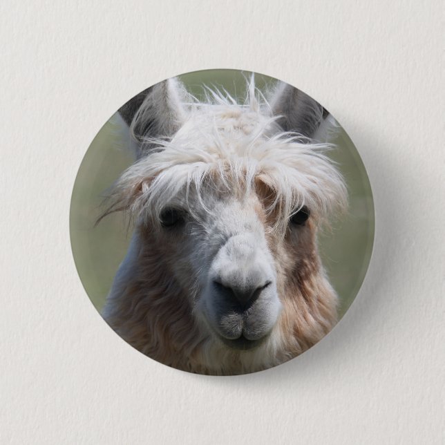 Llama 2 Inch Round Button (Front)