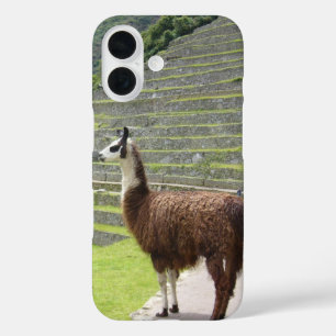 llama 3 iPhone 16 case