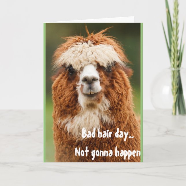 Llama Alpaca Funny Hair Day Greeting Card (Front)