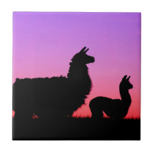 Llama and cria silhouette