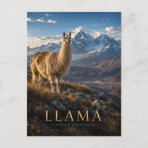 Llama Andean Highlands ANIMALS Postcard
