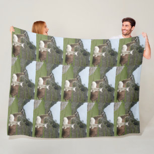 Llama Animal Custom Destiny'S Destiny Fleece Blanket