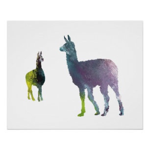 Llama art poster