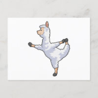 Llama at Yoga Fitness