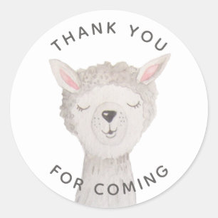 Llama Baby Shower Thank You   Cute Alpaca Animal Classic Round Sticker