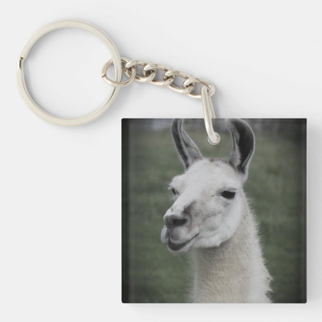 Llama badge keychain (Front)