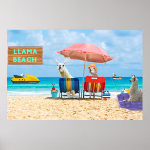 Llama Beach Poster for Llama and Alpaca Lover Fans