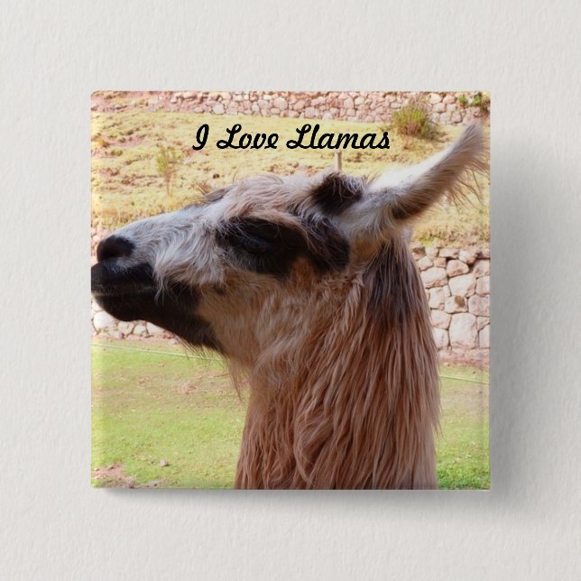 Llama Button (Front)