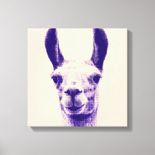 Llama Canvas Print