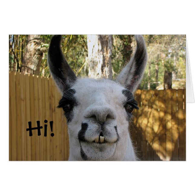 Llama Card... (Front Horizontal)