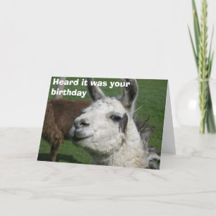 Llama Card