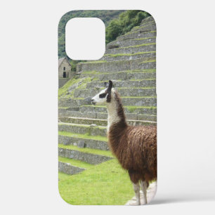 llama iPhone 12 case