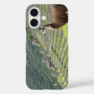 llama iPhone 16 case