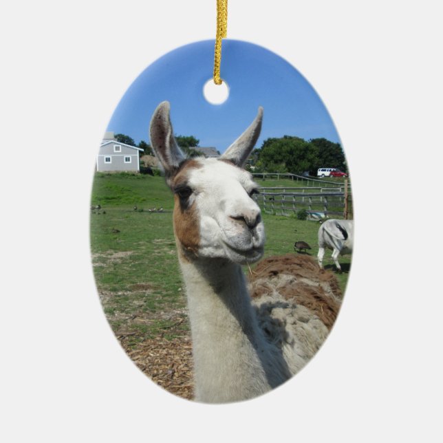 Llama Ceramic Ornament (Front)