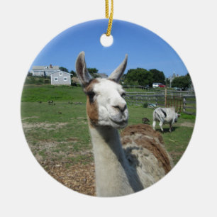 Llama Ceramic Ornament