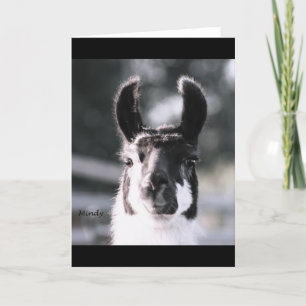 Llama Ears Card