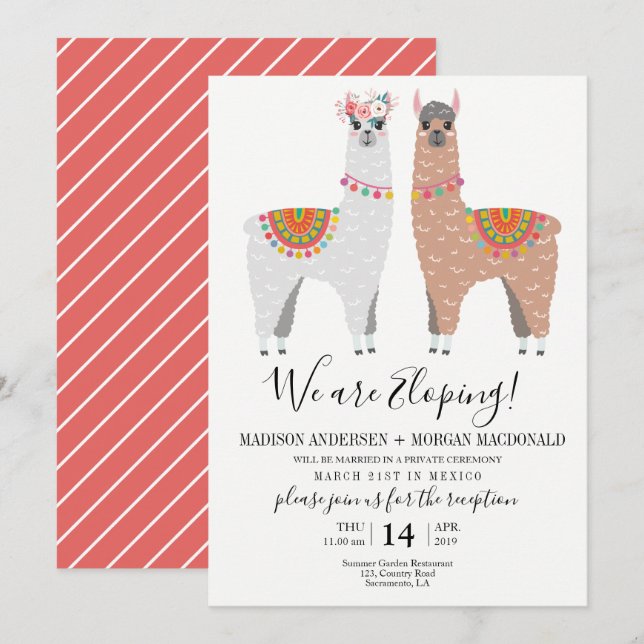 Llama Elopement reception invitation (Front/Back)
