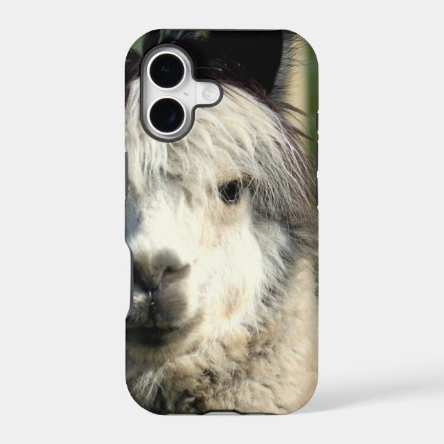 Llama Face (Back)