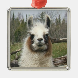 LLAMA FACE METAL ORNAMENT