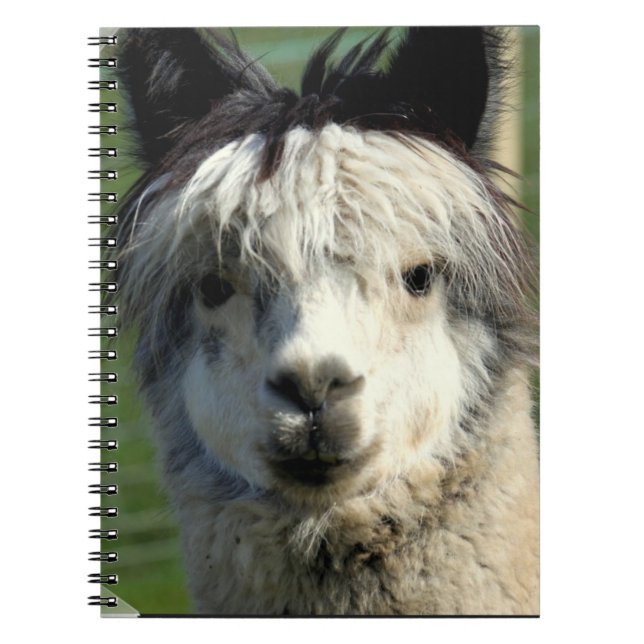 Llama Face Notebook (Front)