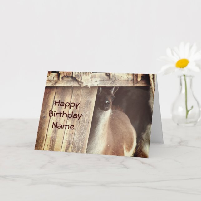 Llama Farm Animal Personalized Birthday Card (Small Plant)