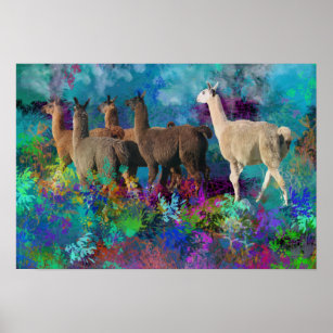 Llama Five Walk in Fantasy Land for Camelids Poster