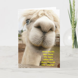 Llama Funny Birthday Card
