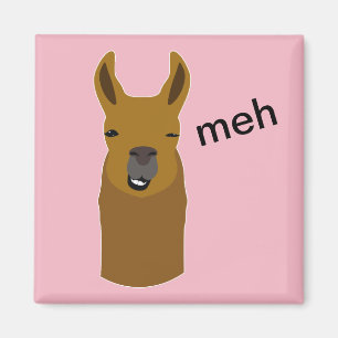 Llama Funny Face Magnet