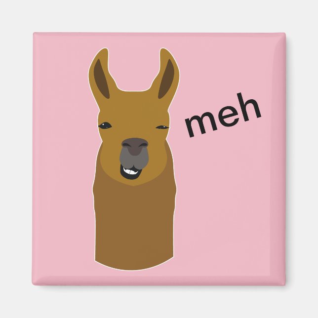 Llama Funny Face Magnet (Front)