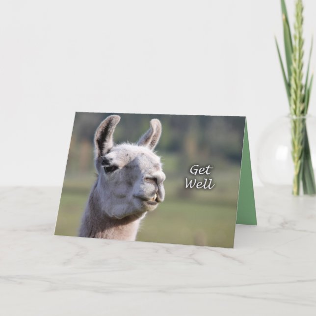 Llama Get Well |Get Well Soon Llama Card (Front)