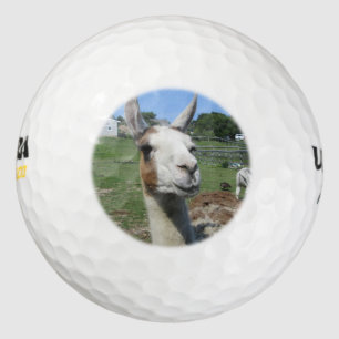 Llama Golf Balls