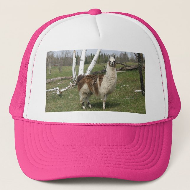 Llama Hat (Front)