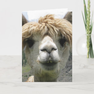 LLAMA I LLOVE YOU GREETING CARDS