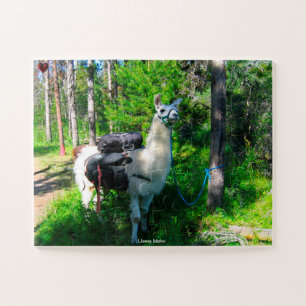 Llama Idaho Jigsaw Puzzle