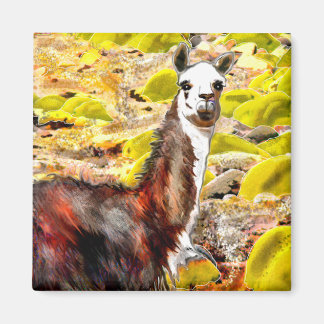 Llama in Andes Mountains Peru Magnet
