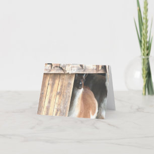Llama In Barn Farm Animal Personalized Note Card
