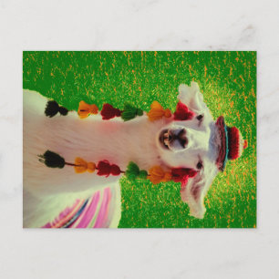 Llama in Chiloe-Chile with ornaments Announcement Postcard