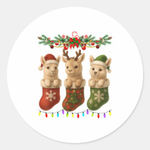 Llama In Christmas Socks Lights Llama Xmas Classic Round Sticker