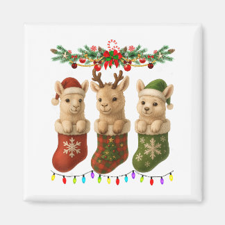 Llama In Christmas Socks Lights Llama Xmas Magnet