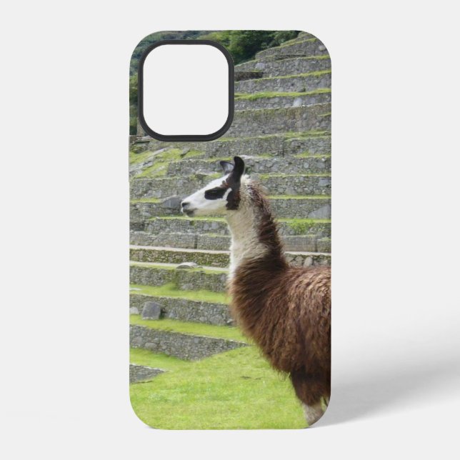 llama iPhone case (Back)