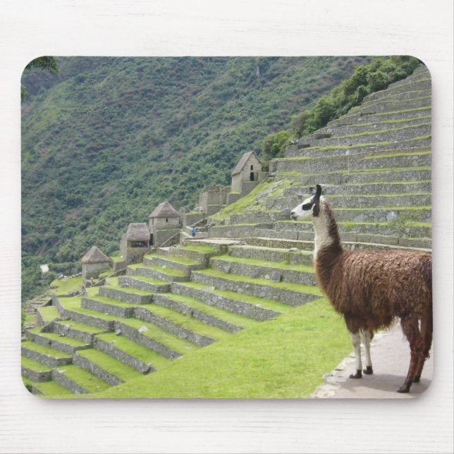 llama lands mouse pad (Front)