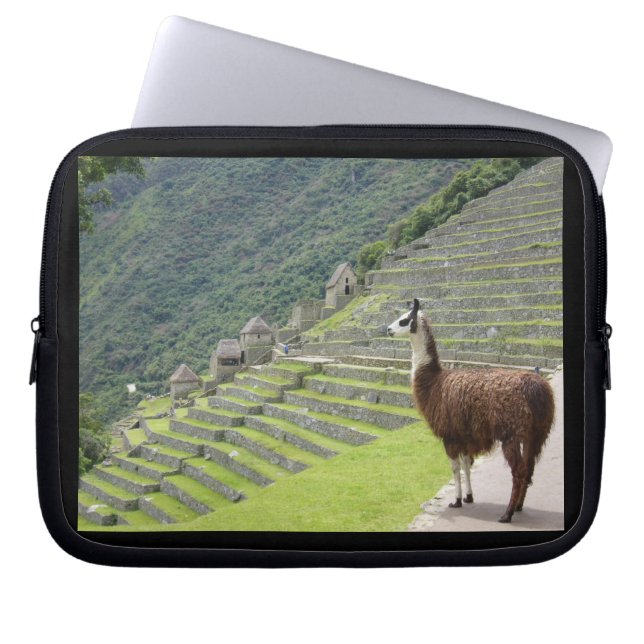 llama laptop sleeve (Front)