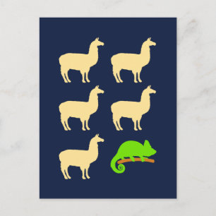 Llama Llama Llama Llama Llama Chameleon Postcard